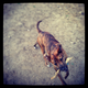 Illustration for article titled 39 *Scratchy Scratchy* Photos of Dogs